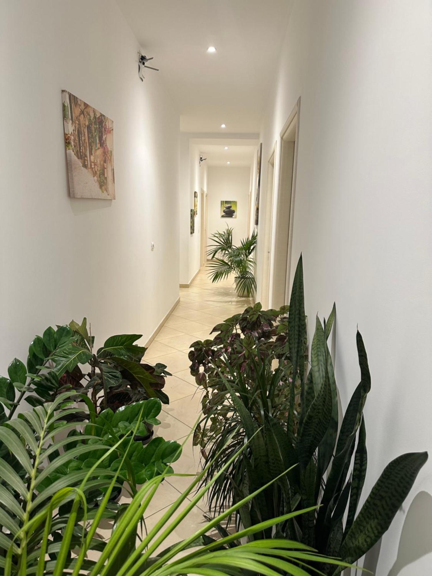 Deni'S Hotel ساراندا المظهر الخارجي الصورة